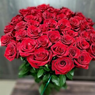 Forty in Burgundy bouquet of 40 burgundy roses approximately 50 cm tall