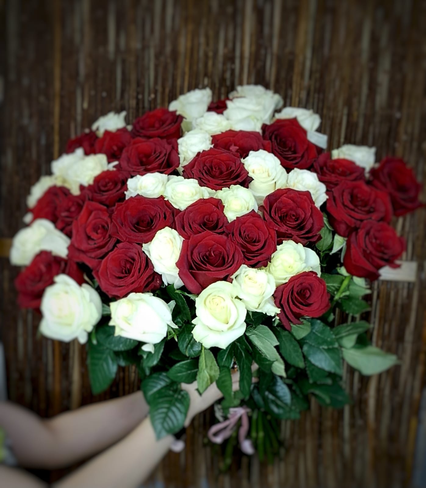 50 Tall red and white Roses