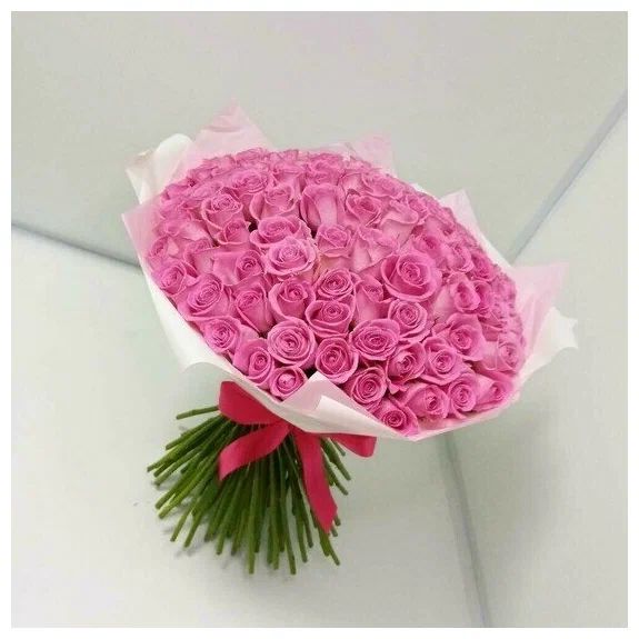 A Hundred Pink Roses - Image 3