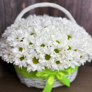 Daisy Flower Basket – Pure Joy and Natural Beauty in Every Petal