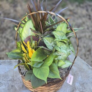 Mixed greens in a wicker basket