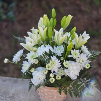 A bouquet in a wicker basket with white lilies, white spray chrysanthemums, white carnations and ferns