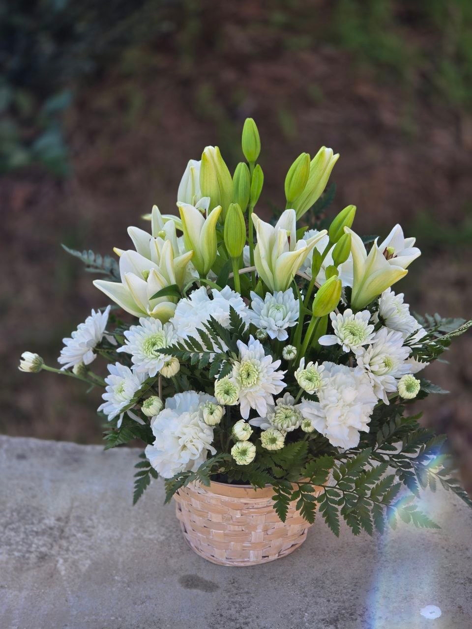A bouquet in a wicker basket with white lilies, white spray chrysanthemums, white carnations and ferns