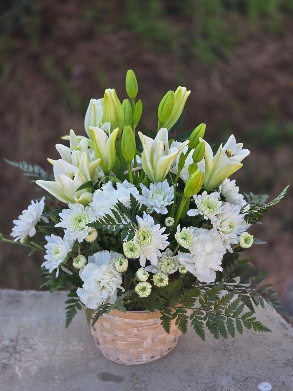 A bouquet in a wicker basket with white lilies, white spray chrysanthemums, white carnations and ferns - Image 4
