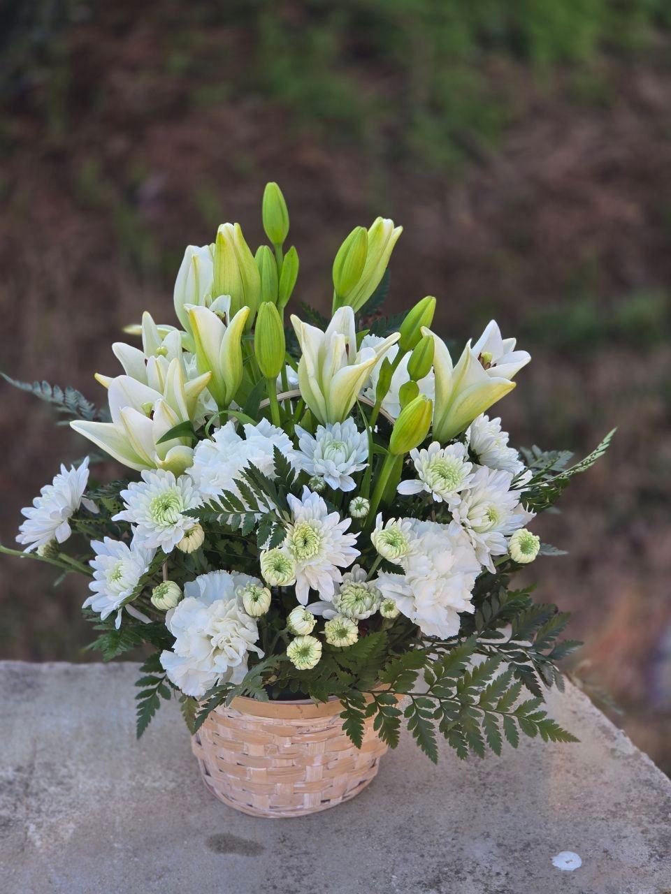 A bouquet in a wicker basket with white lilies, white spray chrysanthemums, white carnations and ferns - Image 2